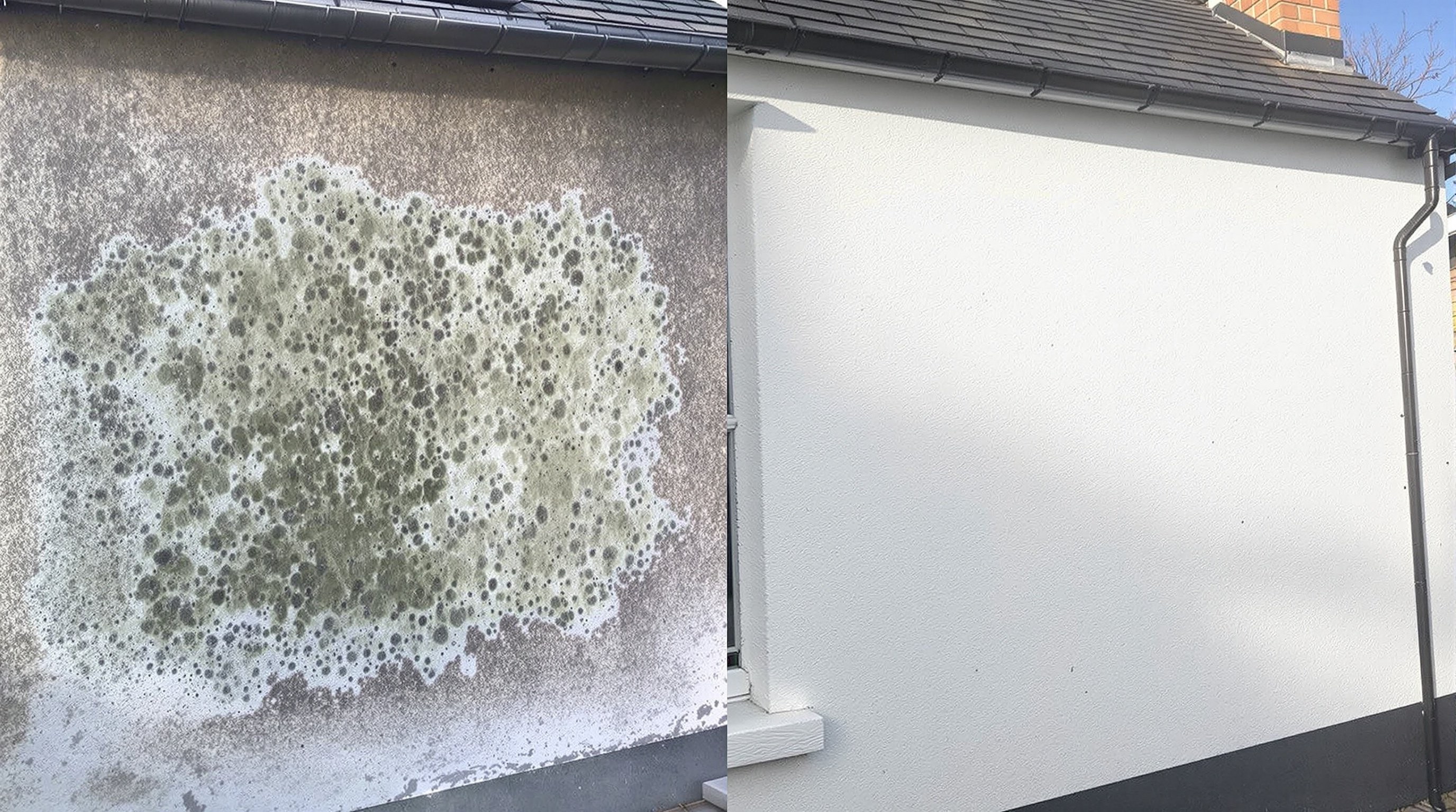 Exterior cleaning before and after transformation 1