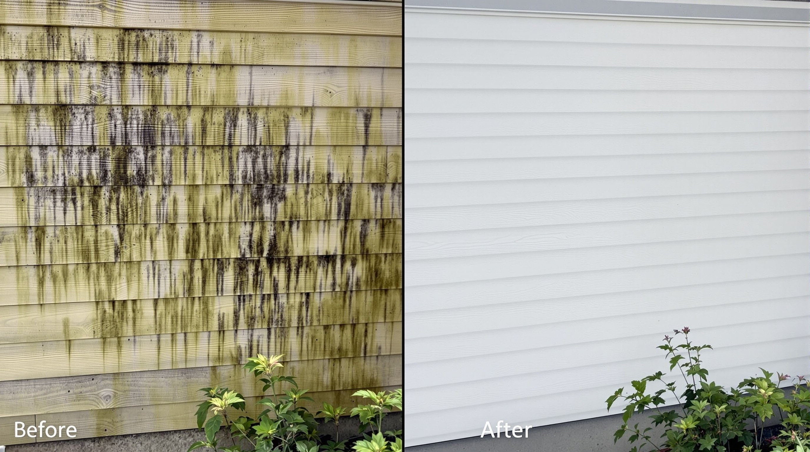 Exterior cleaning before and after transformation 4