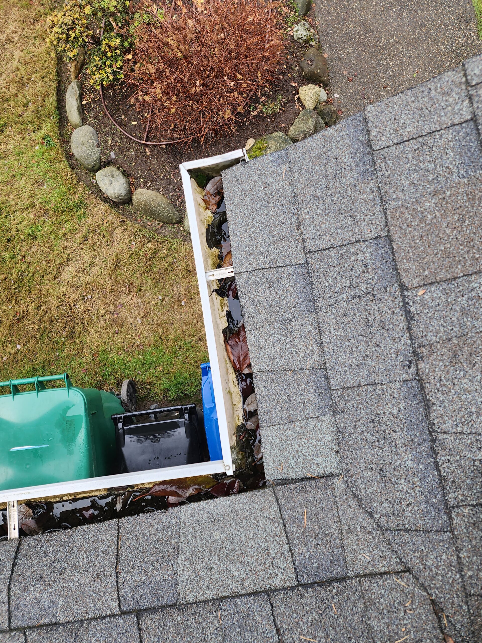 Clean, clear gutters after professional cleaning