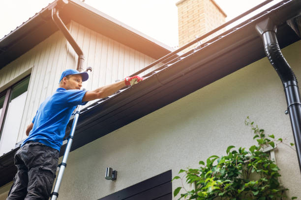 Professional cleaning gutters from ladder
