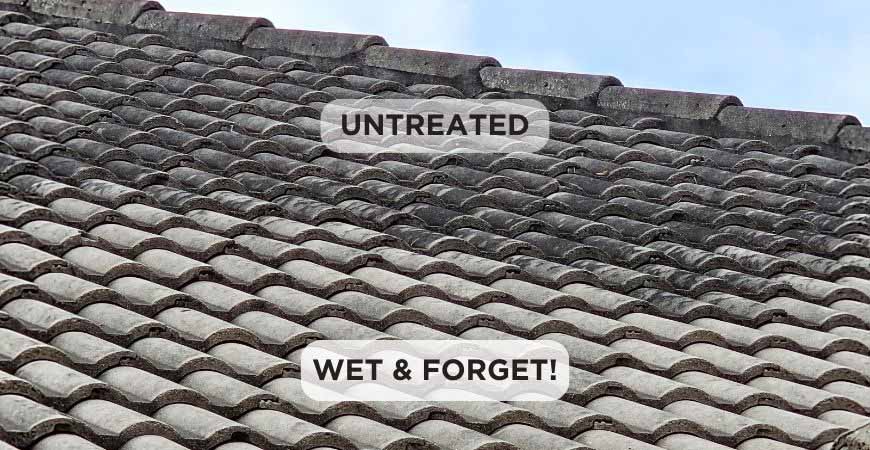 Clean, refreshed roof tiles after professional treatment